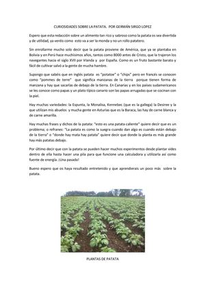 Curiosidades Sobre La Patata