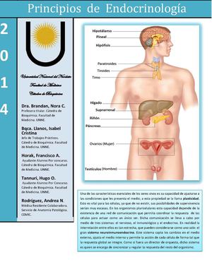 Principios De Endocrinología