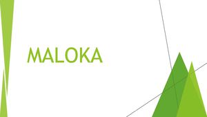 Maloka