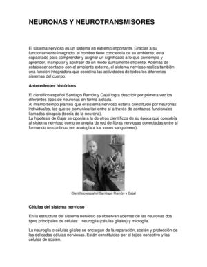Neuronas y neurotransmisores