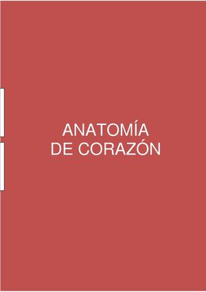 ANATOMIA CARDIACA