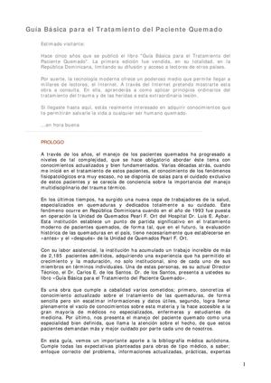 392 Guia%20basica%20para%20el%20tratamiento%20del%20paciente%20quemado