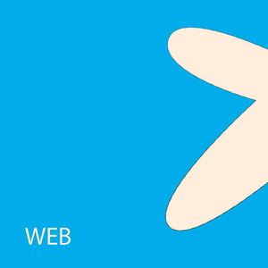 OEKIN DESIGN - TOMO 1, WEB