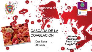 Cascada Coagulación