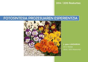 Esp Fotosintesia