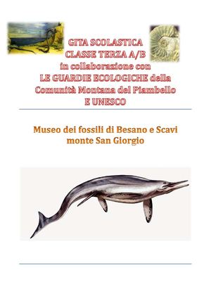 02 Gita Al Museo Dei Fossili Di Besano