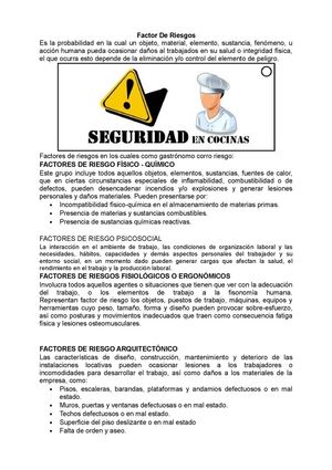 Factor De Riesgos