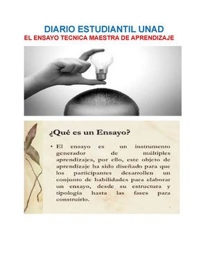 Comentario De Texto El Ensayo