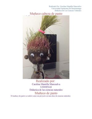 Muñeco Cabeza De Pasto