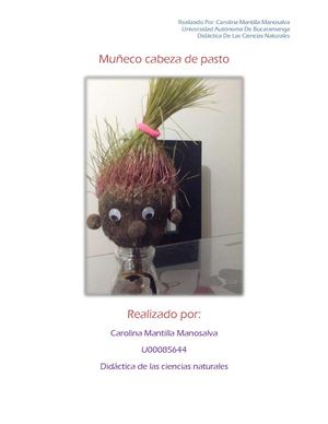 Muñeco Cabeza De Pasto