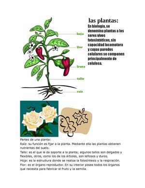 Importancia De La Ciencia