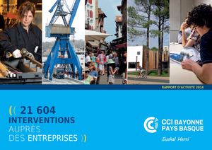 Cci Rapport 2014 Web2