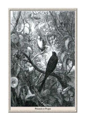 Procné Et Philomèle