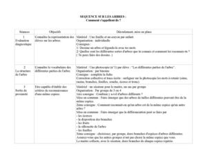 Séquence Sur Les Arbres