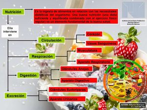 Concepto de Nutrición, Malnutrición y Desnutrición