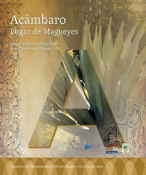 Monografia (Acambaro) 2010