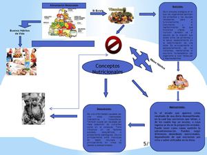 Mapa Mental Nutición, Malnutrición y Desnutrición
