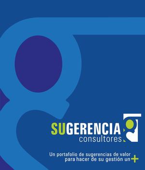SUGERENCIA CONSULTORES