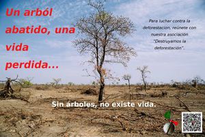 Cartel de la asociación "Destruyamos la deforestación"