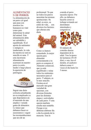 ALIMENTACION DE PERROS