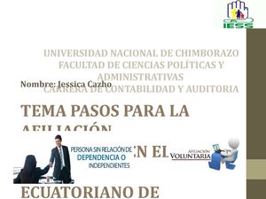 Afiliacion Voluntaria Al Iess