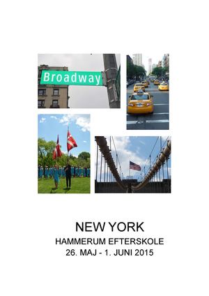 Program Ny2015 Elever