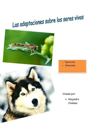 Actividades Sobre Adaptaciones