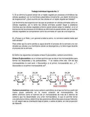 Trabajo Agenda No 3 Leslie Rios