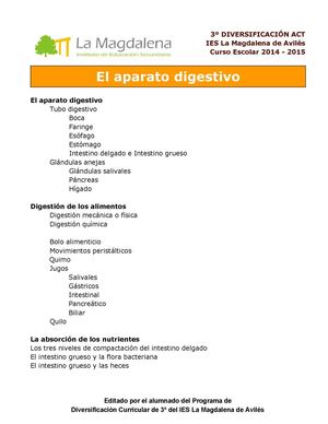 El aparato digestivo