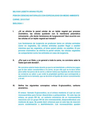 Cuestionario De Preguntas