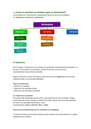 Calameo Clasificacion De Los Animales