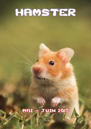 HAMSTER -n°2