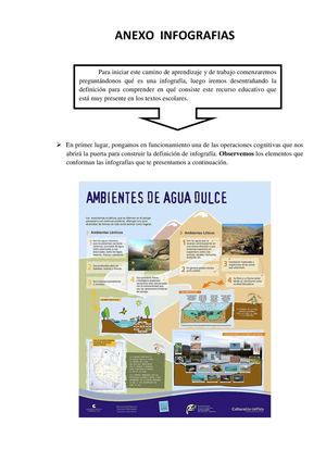 Anexo Infografias Final