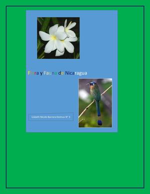 Qué Es Flora Y Fauna