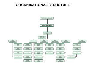 Pngfa Organizational Structure