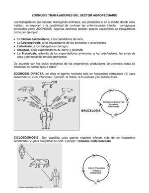 Tipos De Zoonosis