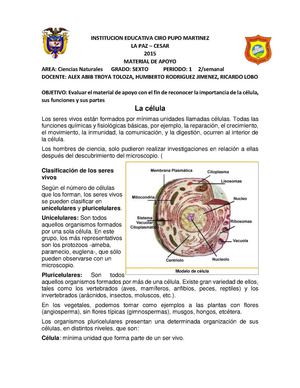 Contenio Unidad Celular Grado 6