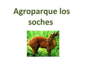 Agroparque Los Soches
