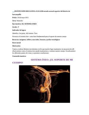 sistema oseo : el soporte de mi cuerpo