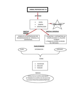 Mapa Conceptual Proyecto