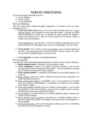 Nervio Trigémino