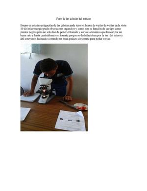 Foro De Las Celulas Del Tomate
