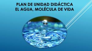 Plan De Unidad Didactica Agua
