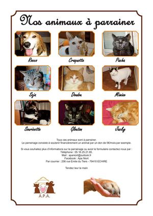 Brochure De Parrainage