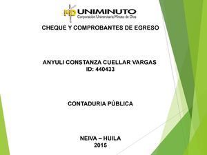 Cheques Y Comprobantes De Egreso