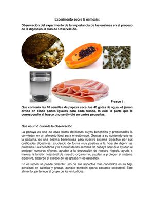 Experimento Sobre La Osmosis Leslie Rios
