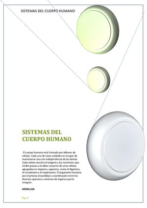 Trabajo Sistemas Del Cuerpo Humano