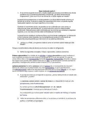 Base Molecular Parte 2