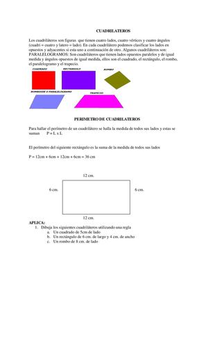 Taller De Cuadrilateros