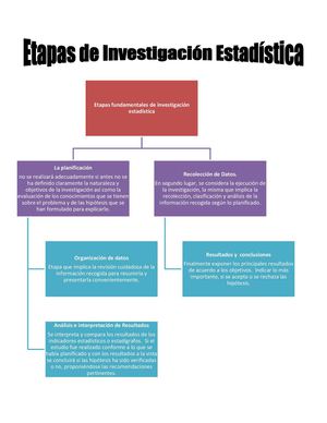 Etapas De Investigación Estadística